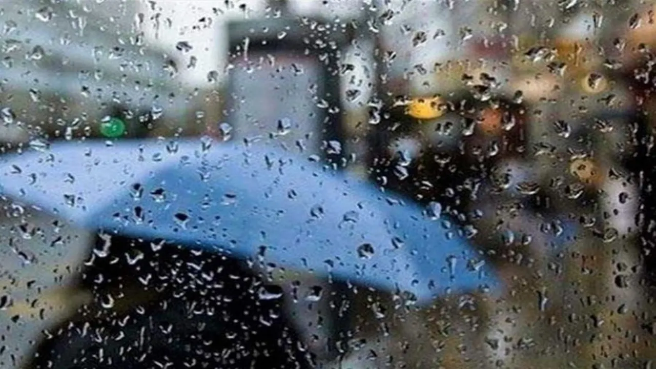 طقس أحد الشعانين يشهد توقعات بأمطار ورياح وثلوج في مختلف المناطق